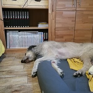 IMG 20170504 190055c