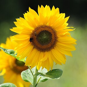 Test 70 300 16.7.2014 112