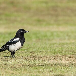 comp 20170518 DSC 5829