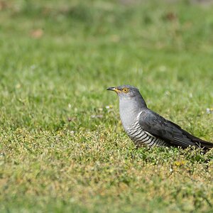 comp 20170515 DSC 5781