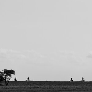 comp 20170520 DSC 5883