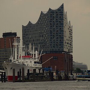DSC 0115 62016