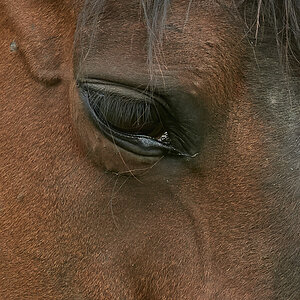090517DSC 6995 1