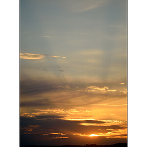 MorgenPZ1 2207