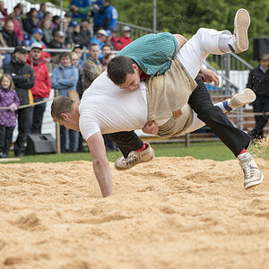 DSC 0833 web