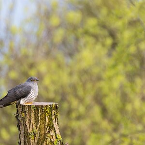 comp 20170510 DSC 5540