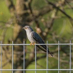 comp 20170514 DSC 5743