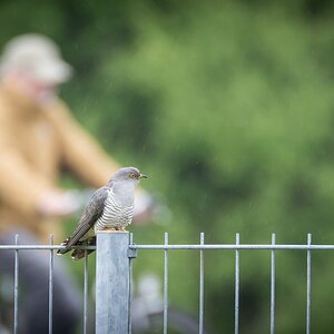 comp 20170516 DSC 5792