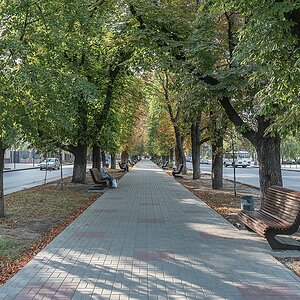 Begehfähige Allee zwischen den Fahrspuren des Boulevard Schewtschenko