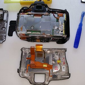 D600