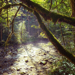 20170825 112351 soellbach