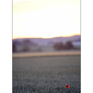 MorgenPZ1 2020
