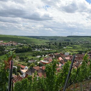 Escherndorf - Lump - 2