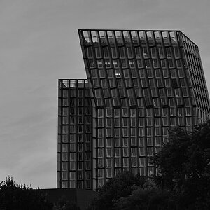 DSC 4958sw