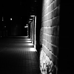 DSC 5022sw