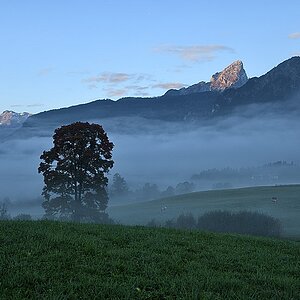 Bild 01