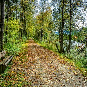 Herbsttag am Isarweg