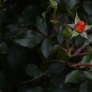 image 2017 10 08 (1)