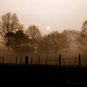 DSD 0096 sepia