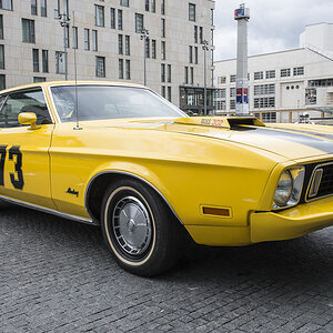 Mustang1