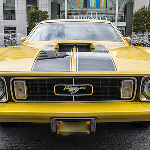 Mustang2