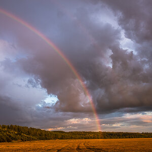 Regenbogen