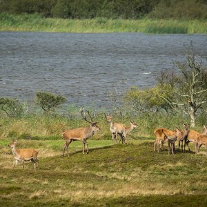 comp 20170912 DSC 6400 21