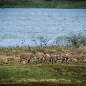 comp 20170912 DSC 6418 21