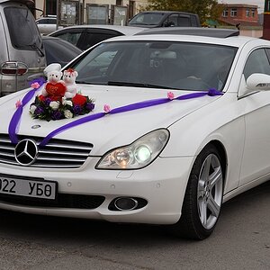 s777 UlanBator Hochzeitskutsche 3471