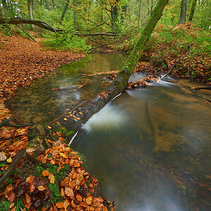 Herbst7