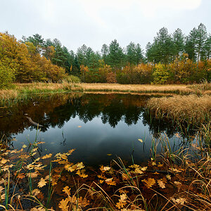 Herbst10