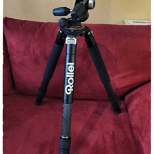 rollei
