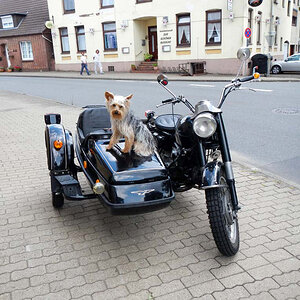 Guzzi1aff Kopie