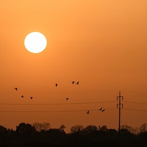 H005097c
