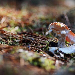 image 2017 10 17 (1)