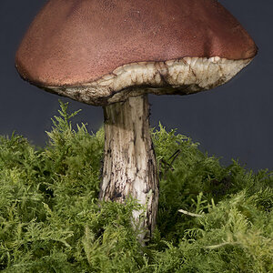 Stack 3
