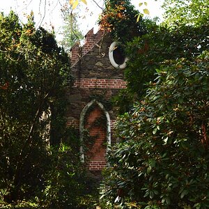 image 2017 10 19