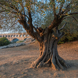 Pont du Gard 004