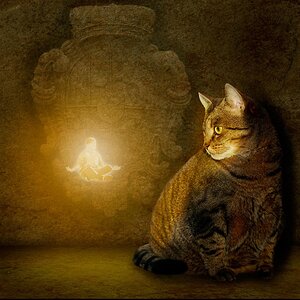 Homunculus mit Katze