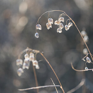 Landschaft 003