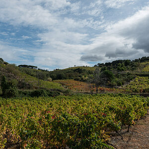Wandern nach Collioure 002