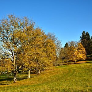 Albstadt Burgfelden Heersberg Schw.Alb 2017 22397