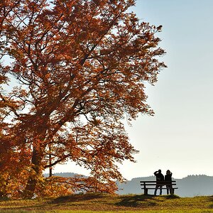 Balingen Burgfelden Albtrauf 2017 22409 01