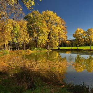 Schömberg Osterweiher Schw.Alb 2017 22487