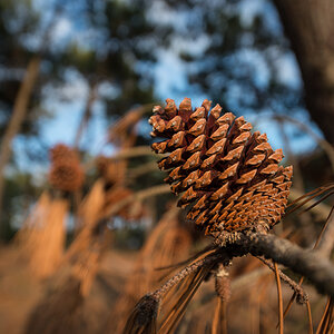 Gironde 036
