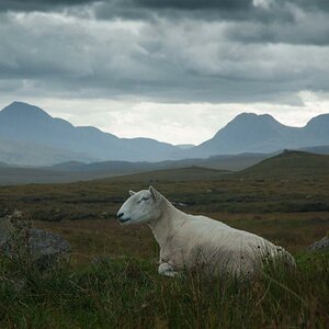 Schottland 2017