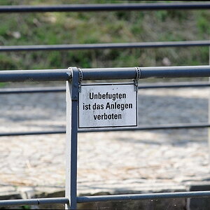 DSC 1022 dxo 1000