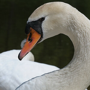 300 8365