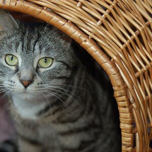 Mimi - 15.05.09