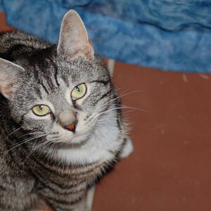 Mimi - 20.05.09